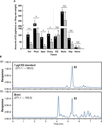 17β-Estradiol (E2) may be involved in the mode of crustacean female sex hormone (CFSH) action in the blue crab, Callinectes sapidus